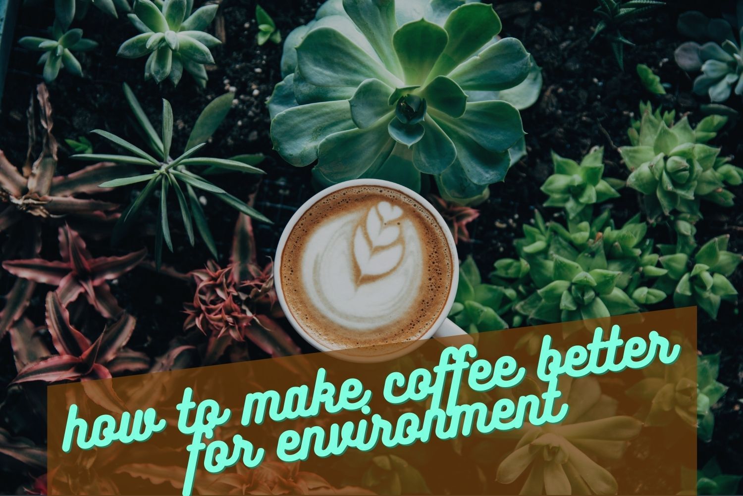 environment friendly coffee